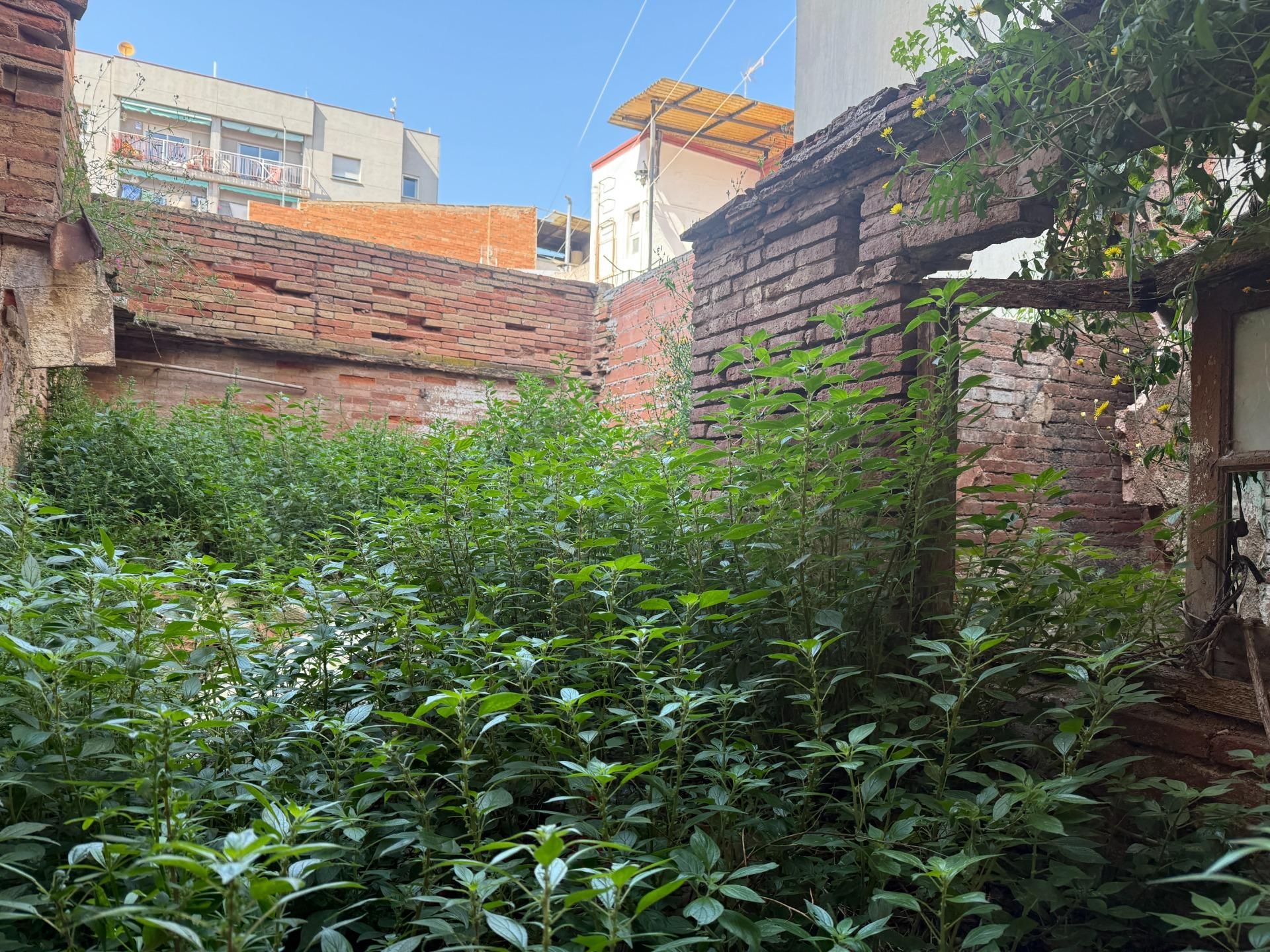 Houses for sale in Carrer SALVANY DE, 17, Eixample, Centre - Sant Oleguer