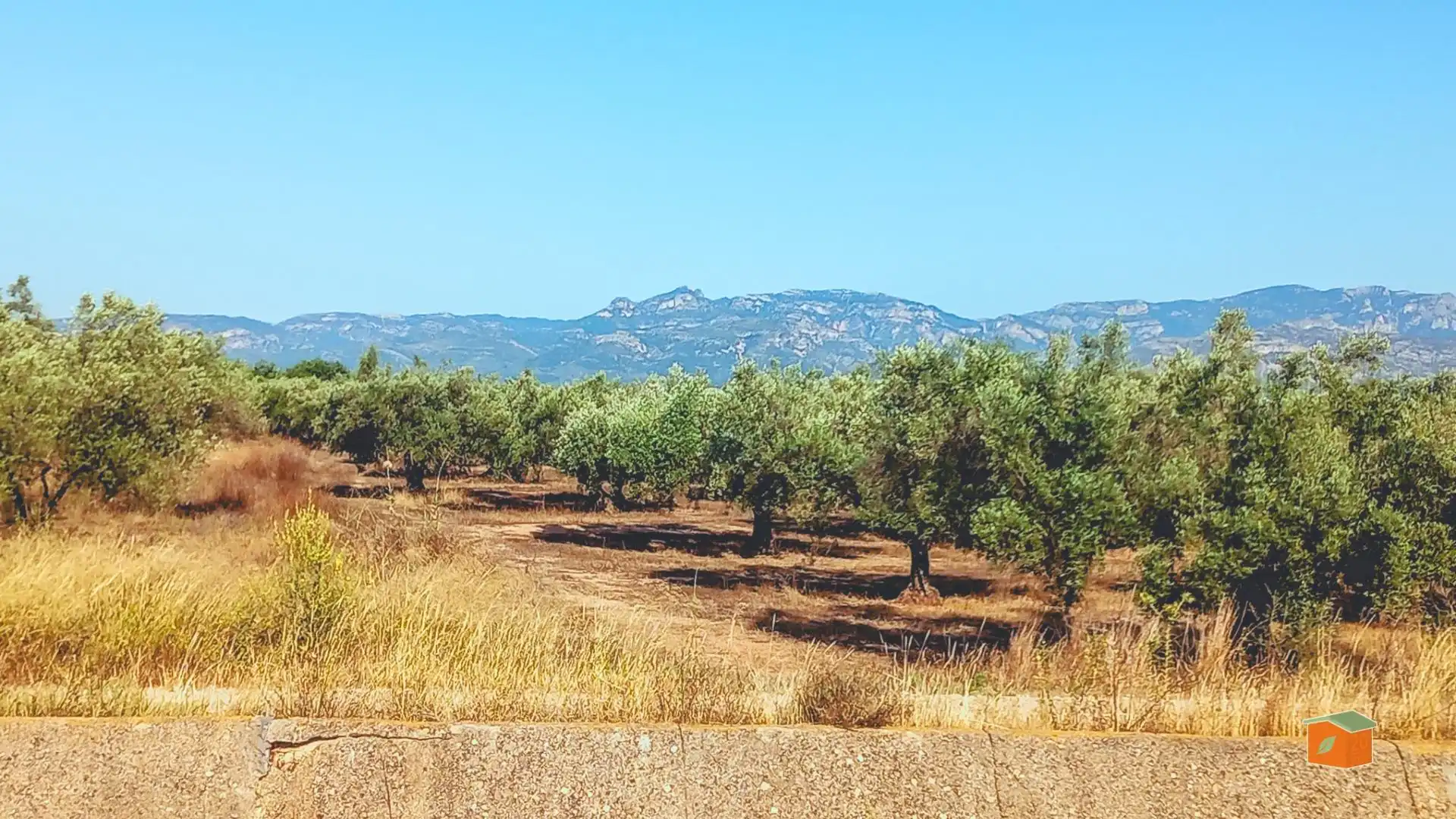 Terreno rustico in vendita a La Galera