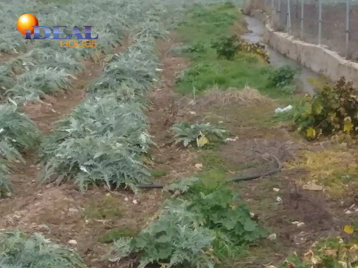 Finca rústica en venta en Campus de la Salud