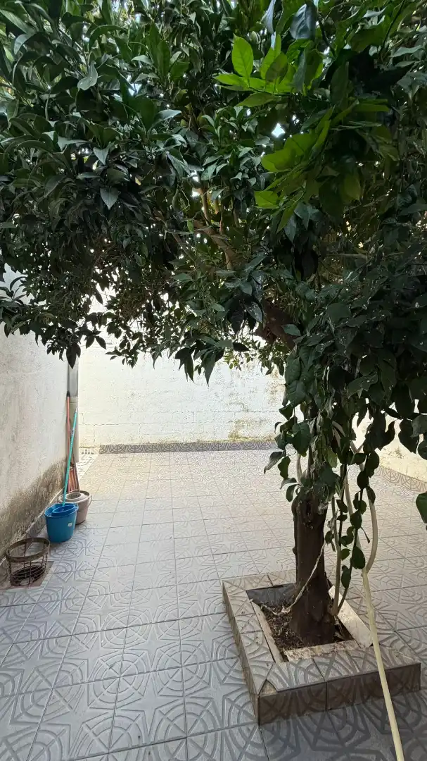 Jardín de Casa o chalet en venta en Monterrubio de la Serena con Terraza, Trastero y Amueblado
