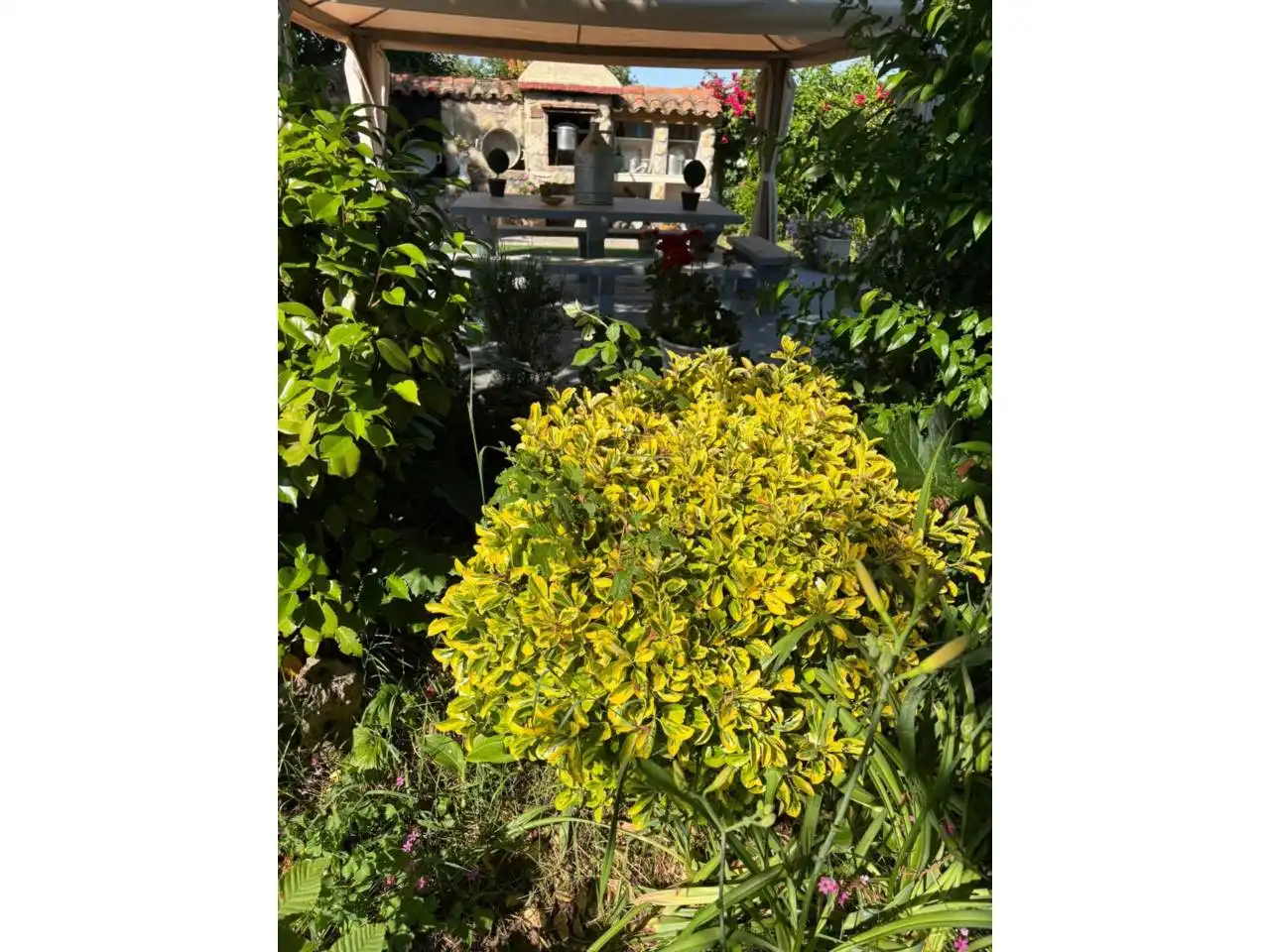 Houses for sale in Poligono 0, Ciudad Rodrigo