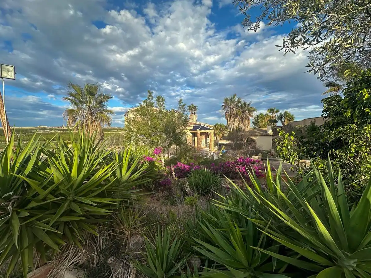 Jardín de Finca rústica en venta en Los Montesinos con Jardín privado, Piscina y Amueblado