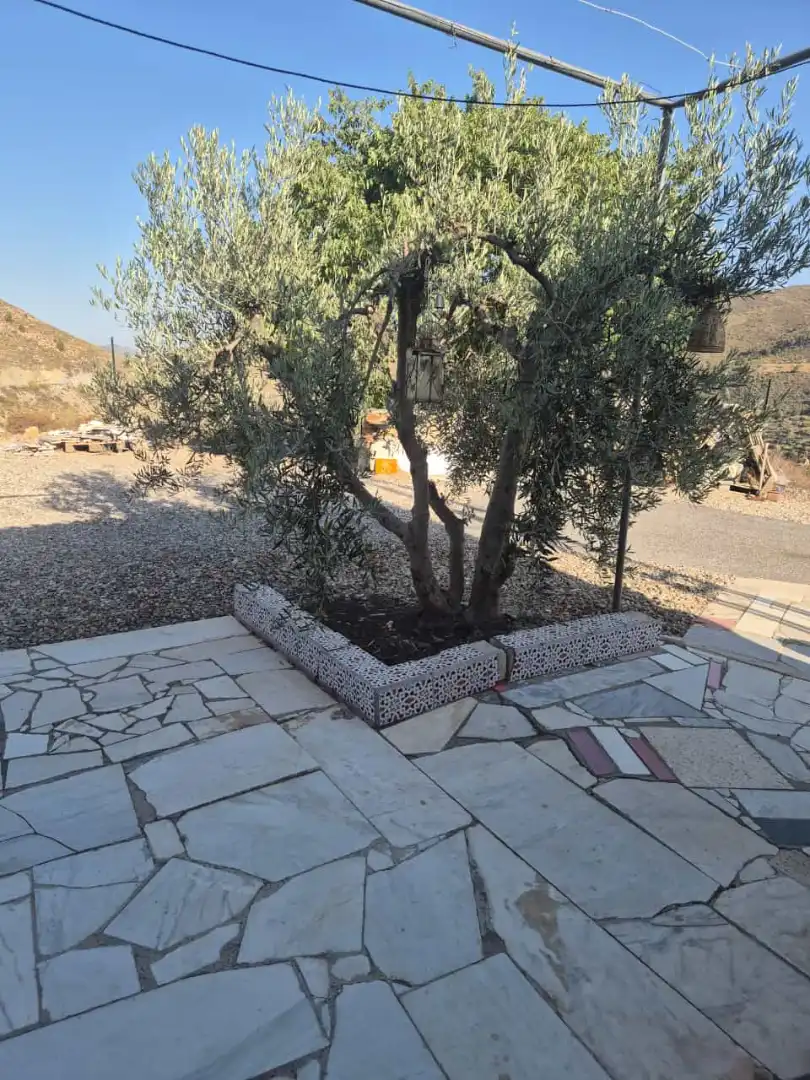 Jardí de Finca rústica en venda en Líjar amb Jardí privat, Terrassa i Moblat