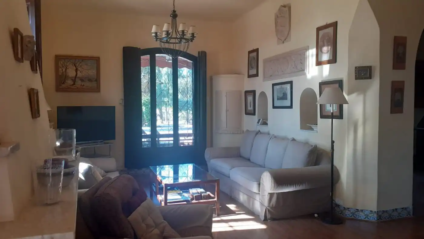Sala d'estar de Casa o xalet en venda en Elche / Elx amb Aire condicionat, Jardí privat i Terrassa