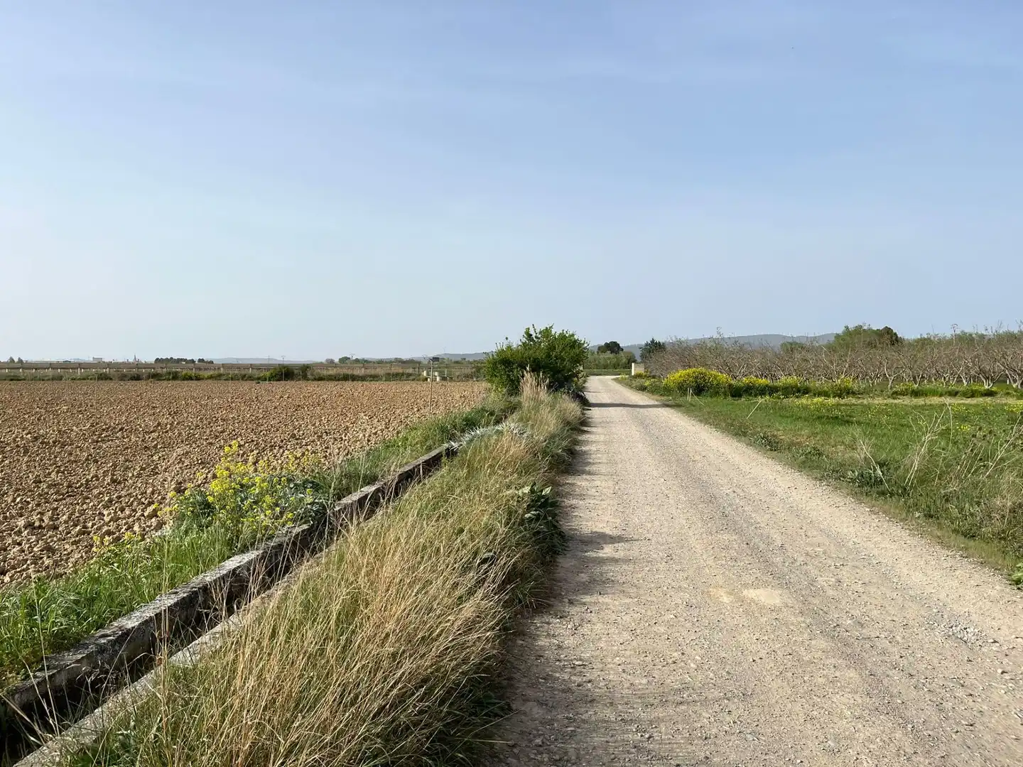 Residential for sale in Beire