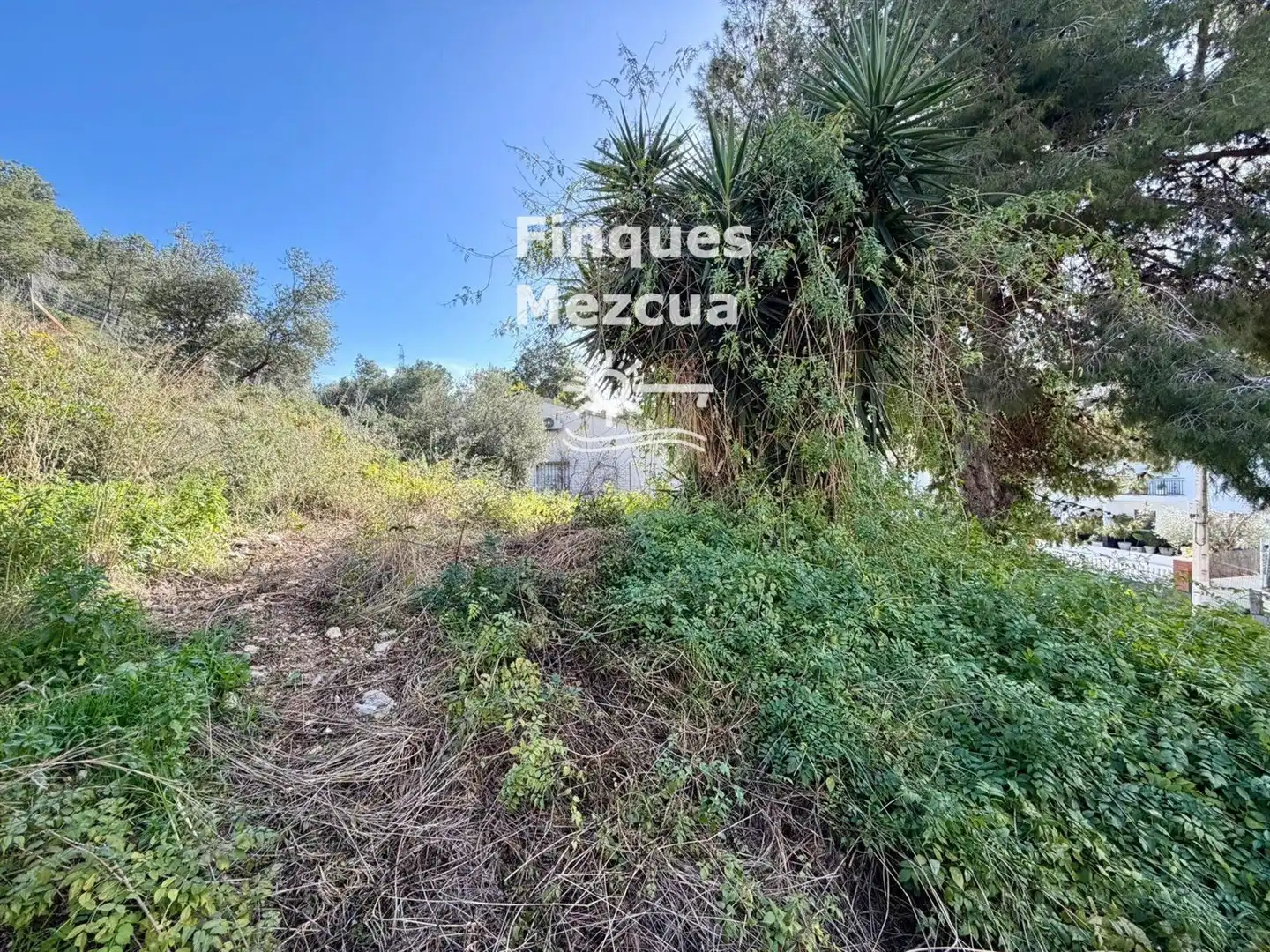 Terreno rustico in vendita a Torre Dels Escipions, imagen 3
