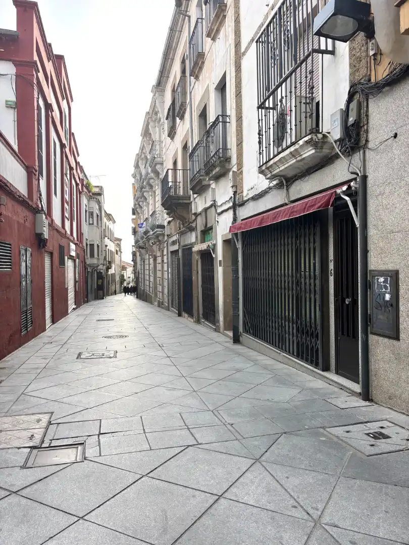 Gewerbefläche zur Miete in Calle Trujillo 4, imagen 7