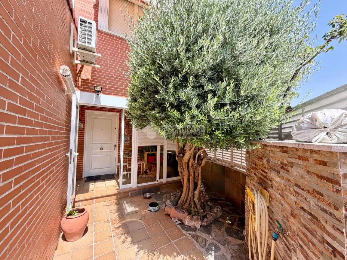 Jardí de Casa adosada en venda en Daganzo de Arriba amb Aire condicionat, Parquet i Piscina