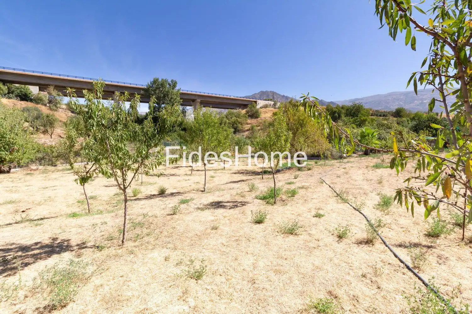 Rural land for sale in XCHH+JQ6 Dúrcal 0, imagen 9