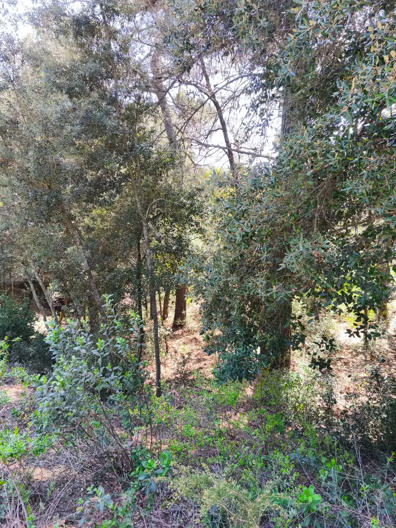 Terrain résidentiel à vendre à Carrer de la Font del Querol 19, imagen 6