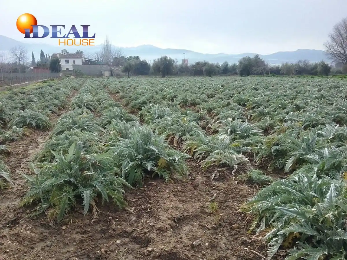 Finca rústica en venta en Campus de la Salud
