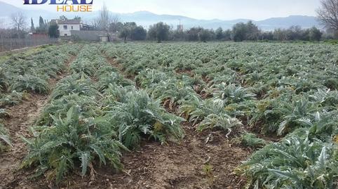 Foto 5 de Finca rústica en venda a Campus de la Salud, Granada