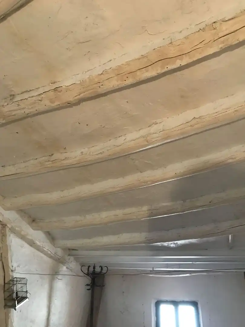 Finca rústica en venta en Cosuenda