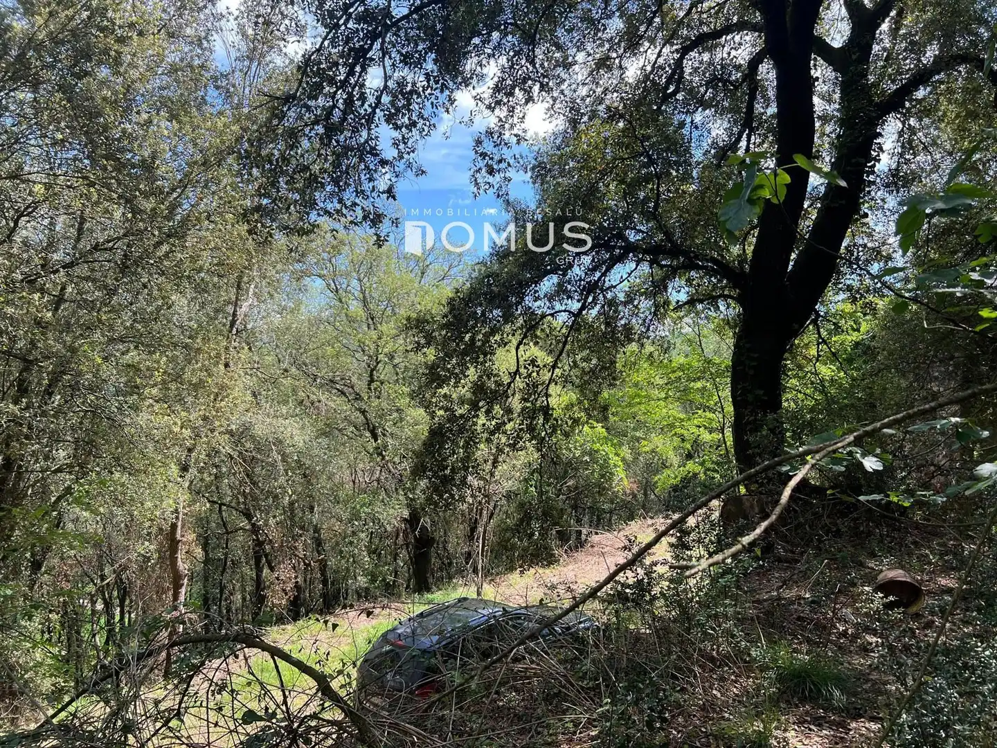 Finca rústica en venta en Sant Joan Les Fonts