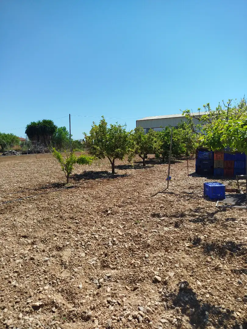 Terreno residencial en venta en Pueblo, imagen 47