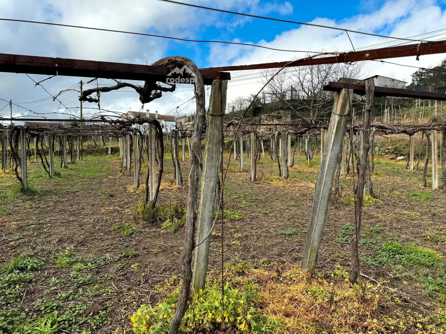Rural land for sale in Arbo, imagen 2