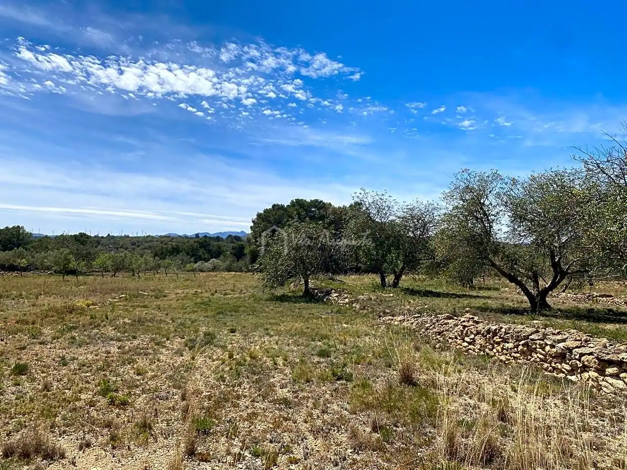 Terreno rustico in vendita a Mas de Baralluga, imagen 15
