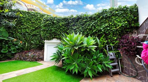 Foto 3 de Planta baja en venta en San Antonio - Las Arenas, Puerto de la Cruz