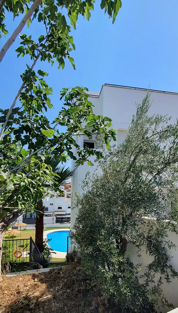 Vista exterior de Casa adosada en venta en Fuengirola con Jardín privado, Piscina y Amueblado