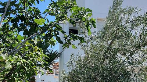 Photo 4 of Single-family semi-detached for sale in Colina Blanca, Torreblanca del Sol, Fuengirola