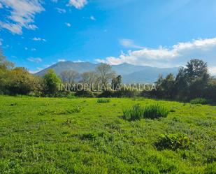 Residential for sale in Colunga