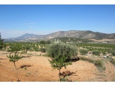 Terrain rustique à vendre à Poligono poligono 3