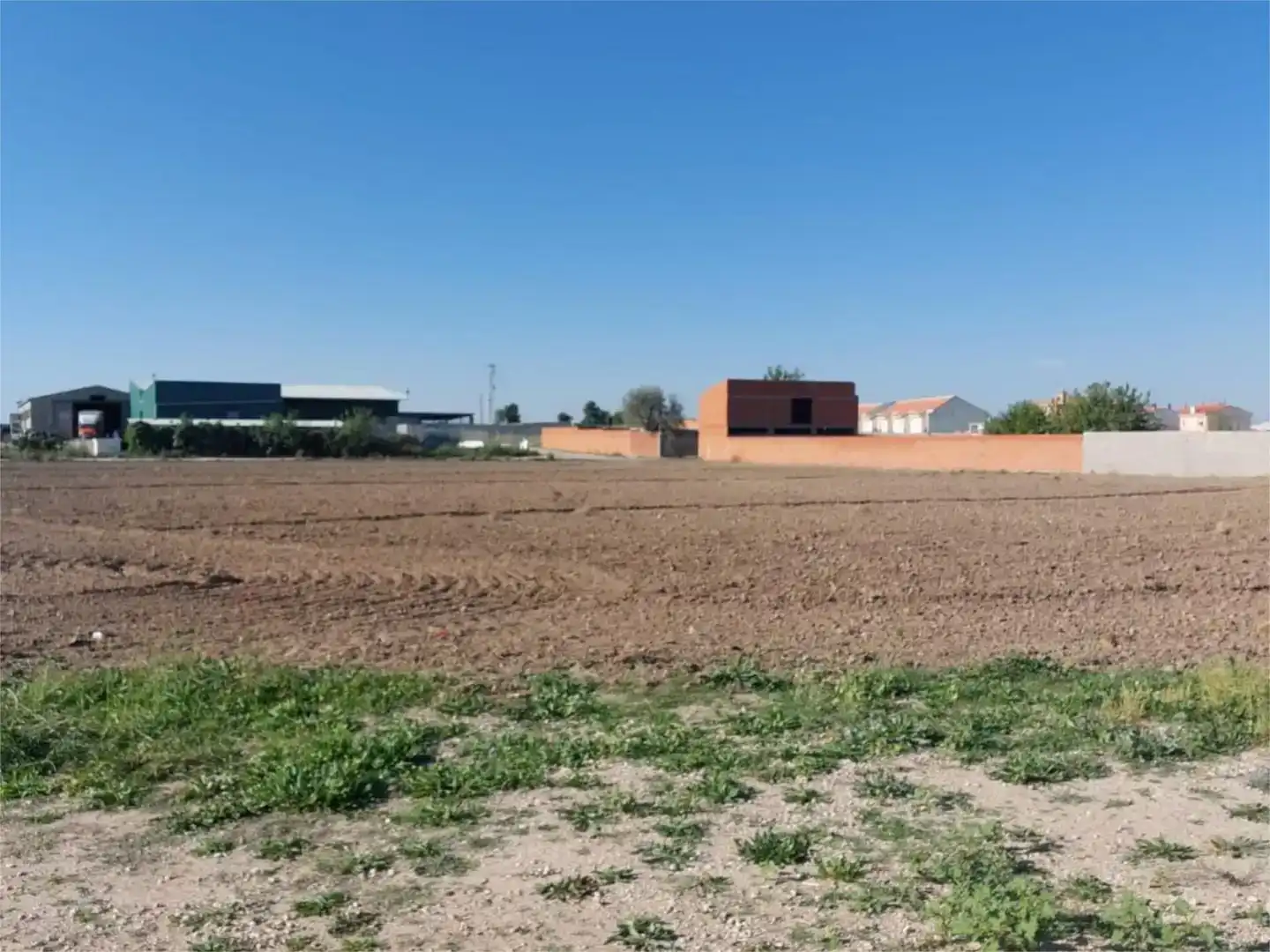Land for sale in Villaconejos