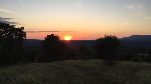 Foto 5 de Finca rústica en venda a Cardeña, Córdoba