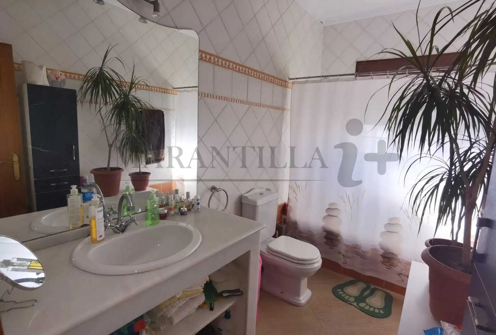 Maison à vendre à Calle Playa de San Miguel, imagen 12