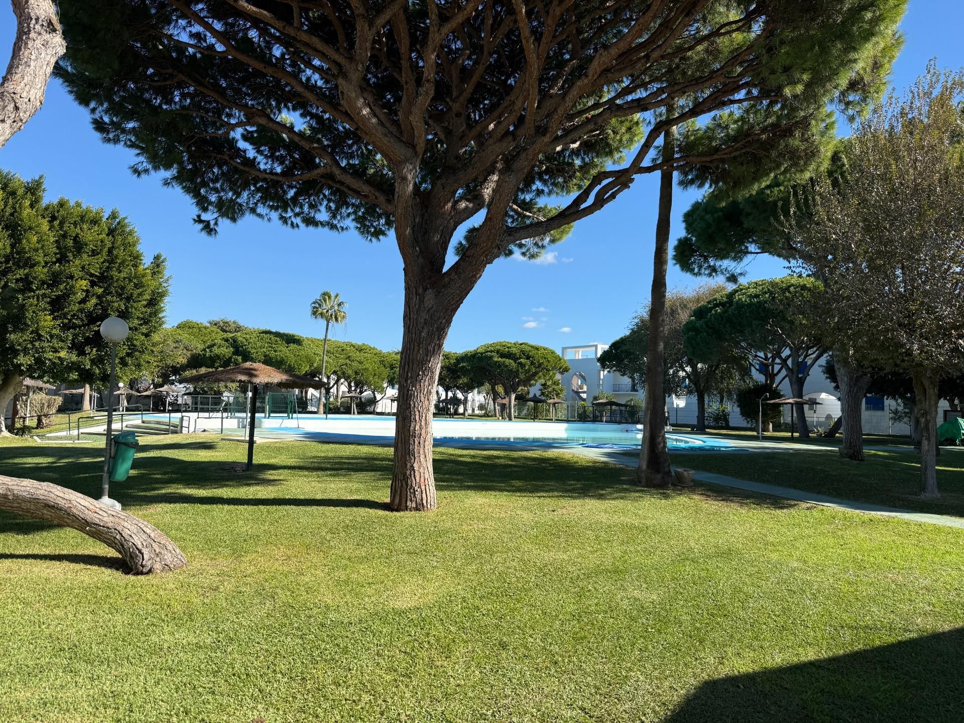 Piscina de Apartamento en venta en Chiclana de la Frontera con Terraza y Piscina comunitaria