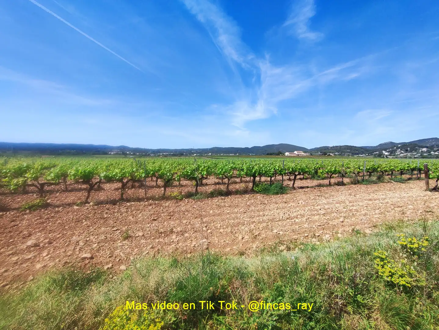 Terreno residenziale in vendita a Torrelles de Foix, imagen 59