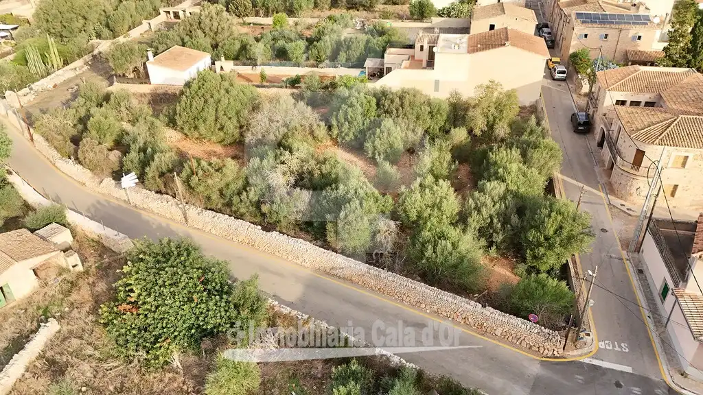 Terreny rústic en venda a Santanyí Poble