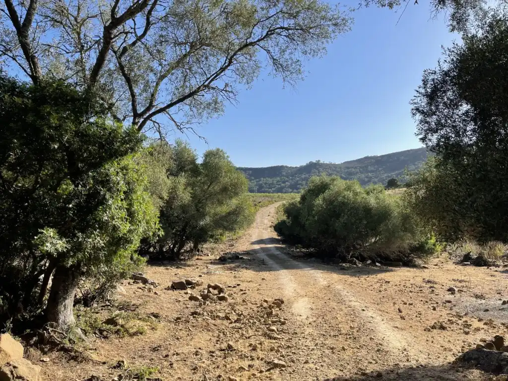 Exterior view of Country homes for sale in Castellar de la Frontera  with Private garden