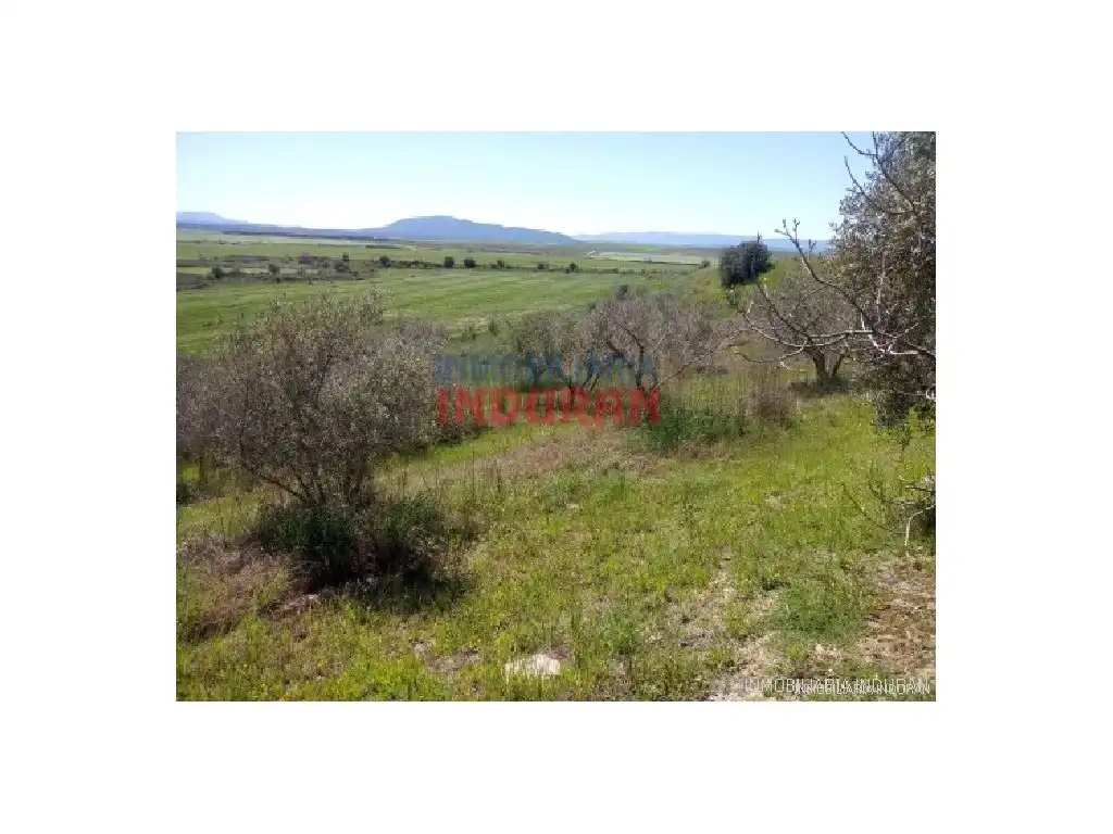 Country homes for sale in Alcolea de Tajo