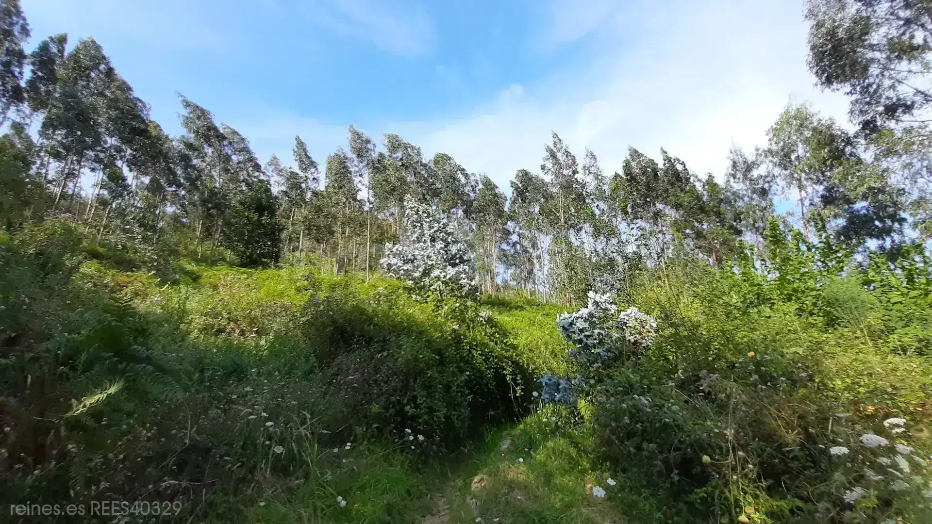 Terreno rustico in vendita a N/A, imagen 3