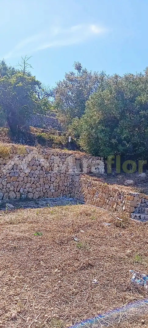 Terreny rústic en venda a Castell de Castells, imagen 10
