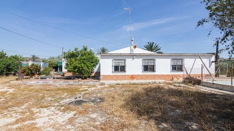 Photo 3 of Houses for sale in Peña de las Águilas, Elche / Elx