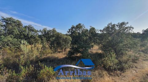 Foto 5 de Terreno en venta en N/a, -1, Hormigos, Toledo