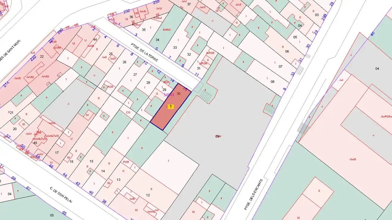 Terreno rústico en venta en Pj Torre, imagen 2