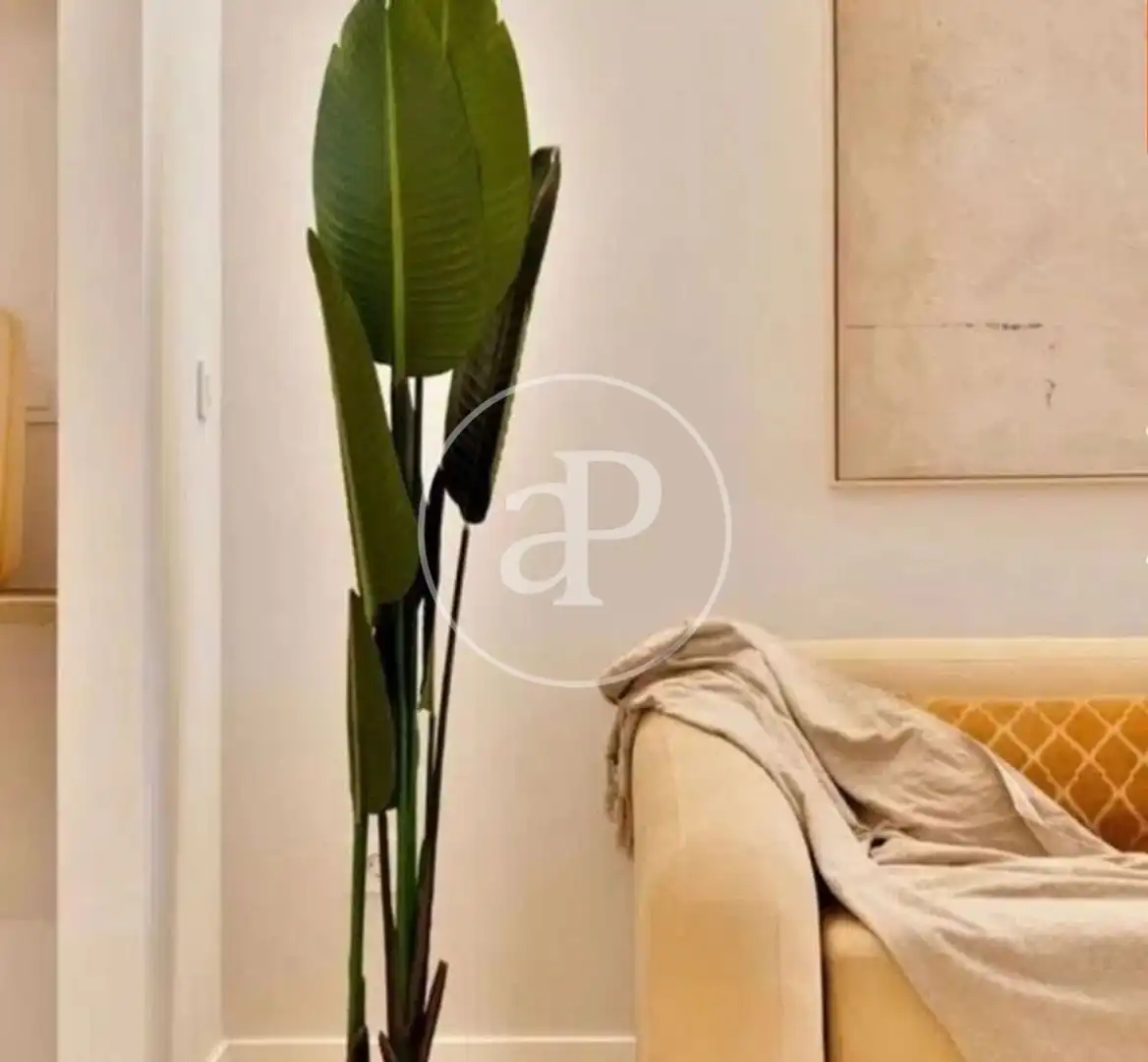 Exterior view of Flat for rent in Valencia  with Air Conditioner, Heating and Terrace