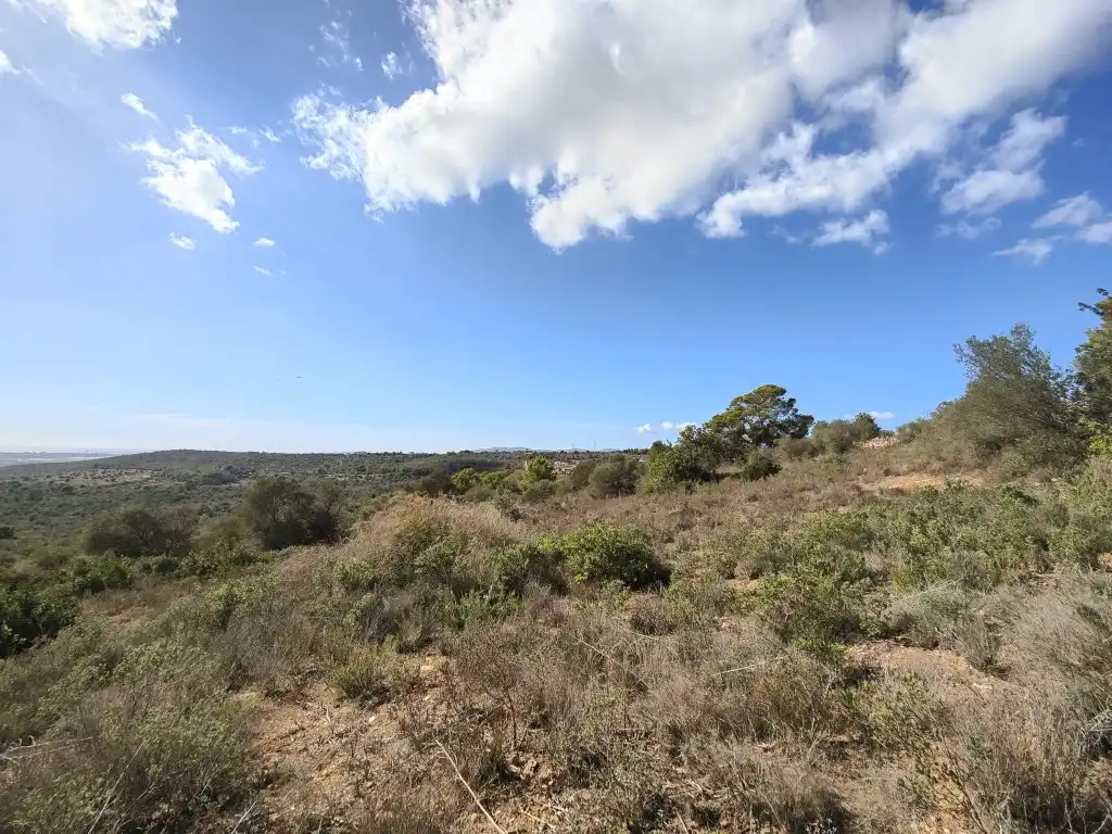 Terreny rústic en venda a Llevant, imagen 13