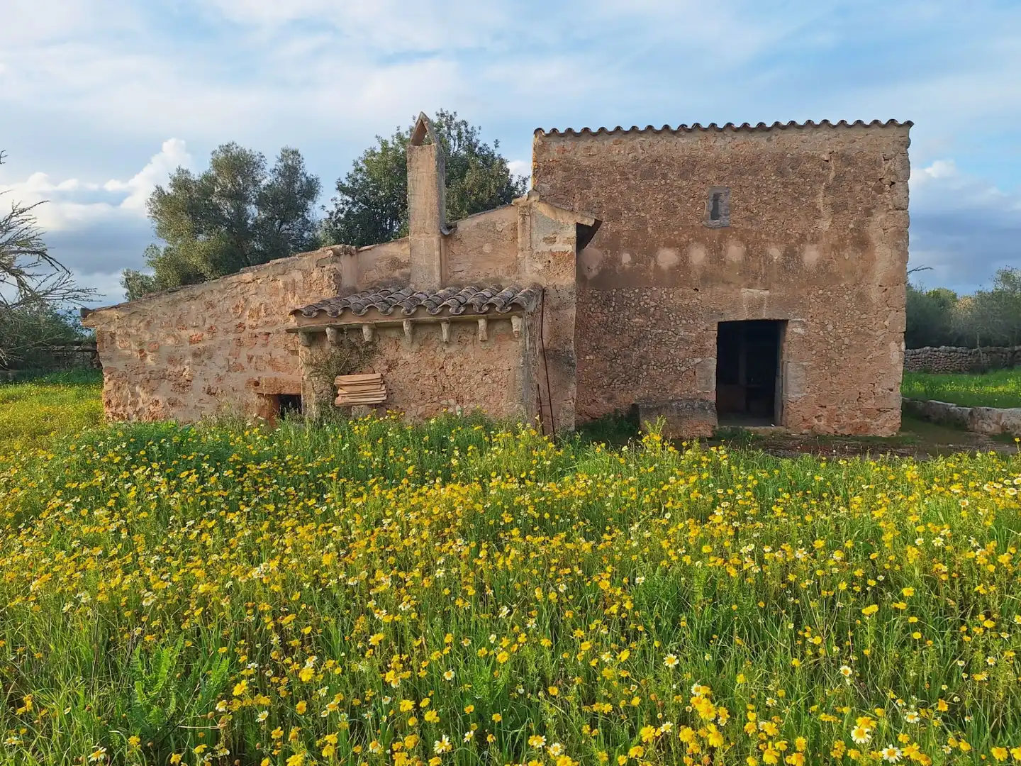 Vista exterior de Finca rústica en venta en Algaida