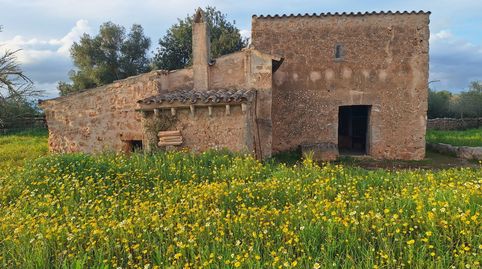 Foto 3 de Finca rústica en venda a Algaida, Illes Balears