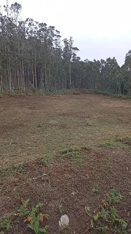 Terreny residencial en venda a Vilarnovo 17, imagen 3