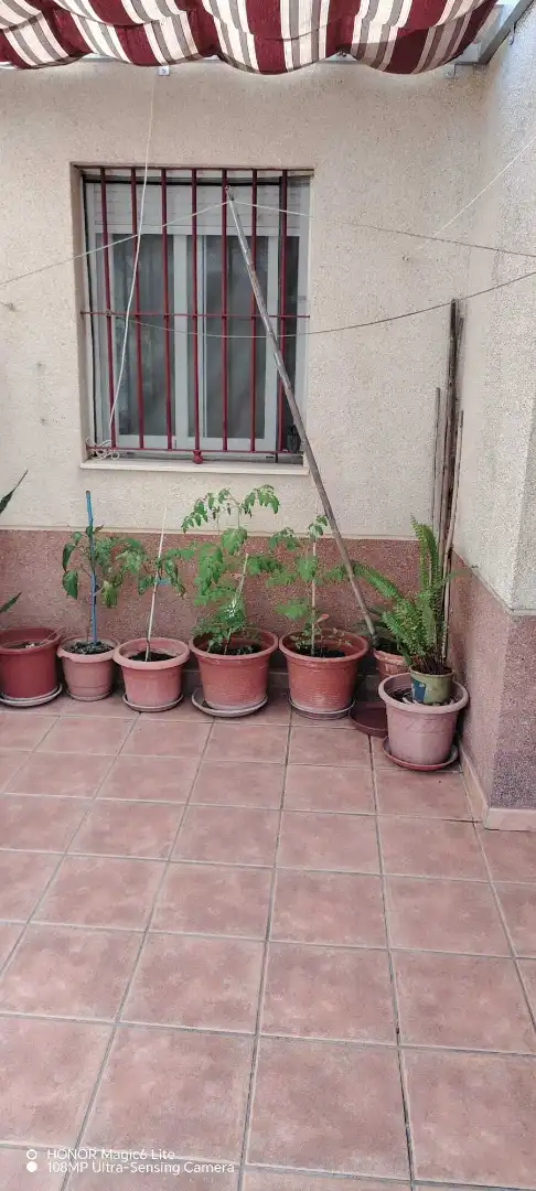 Reihenhaus mit Garten zum Verkauf in Calle Puerto del Boyar, imagen 5