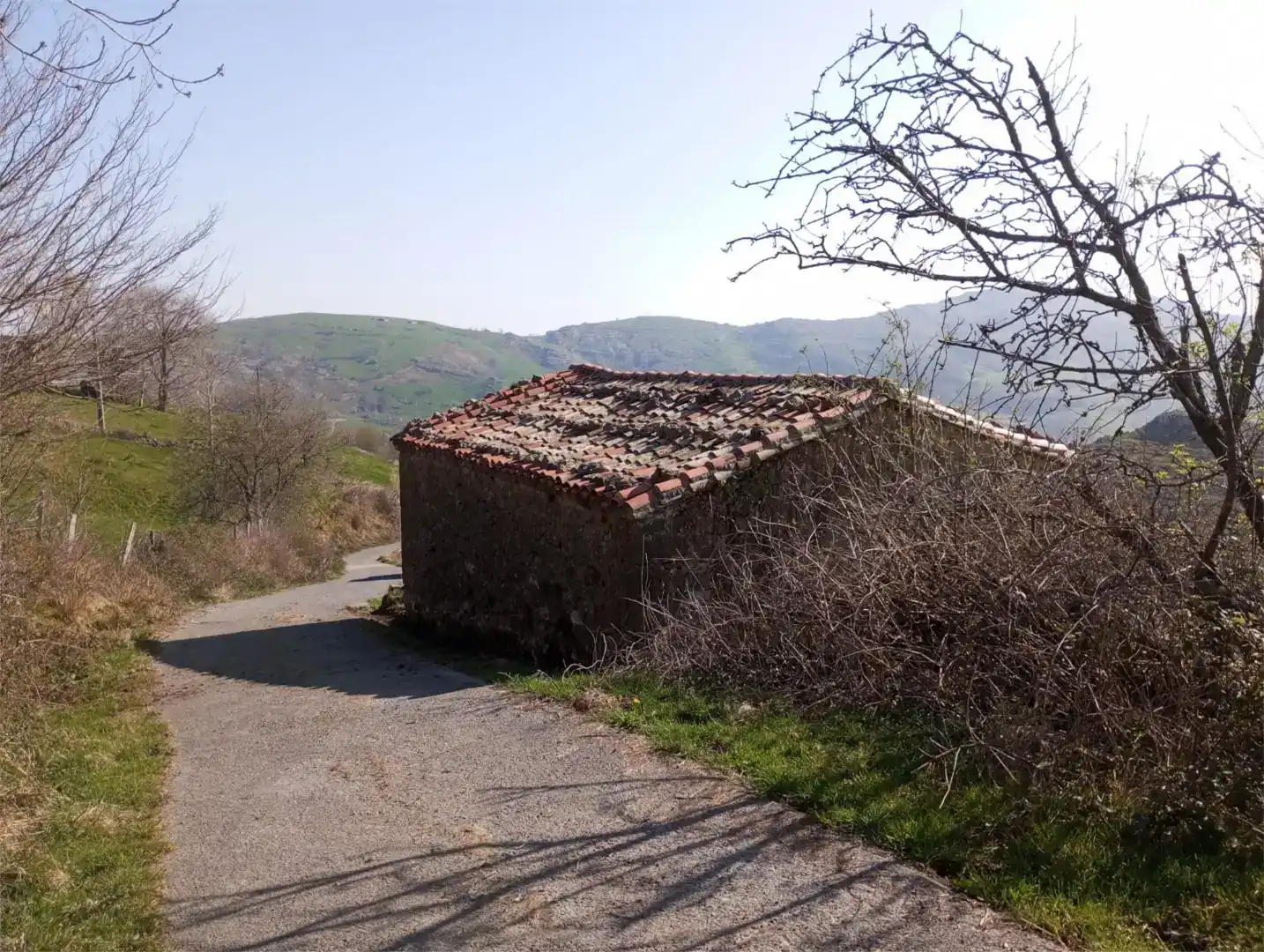 Vista exterior de Finca rústica en venta en Arredondo con Jardín privado
