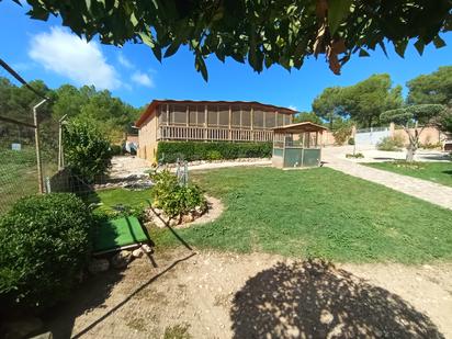 Jardí de Casa o xalet en venda en Cabra del Camp