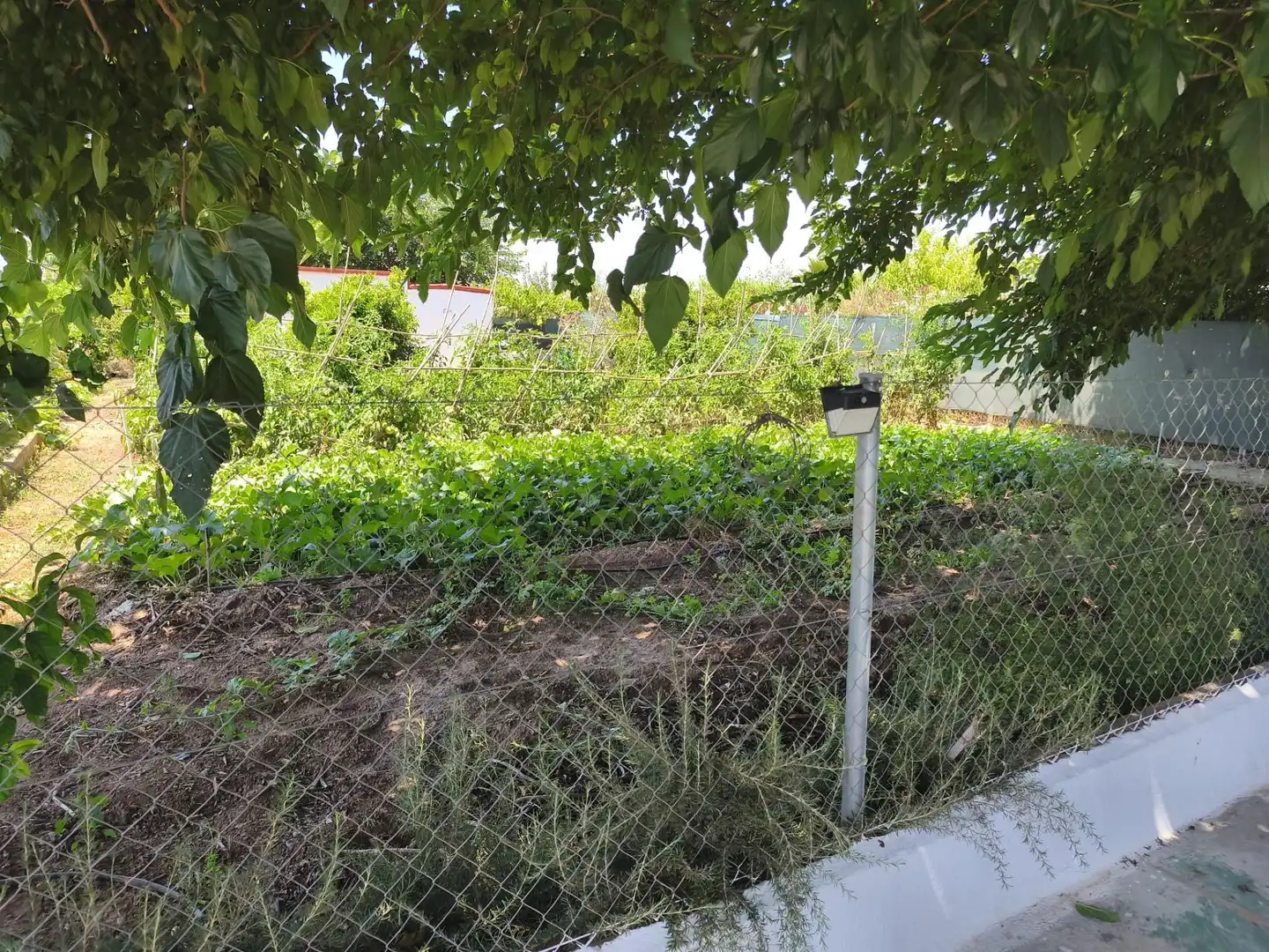 Finca rústica en venta en Foios con Aire acondicionado, Calefacción y Jardín privado