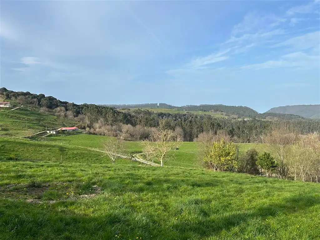 Finca rústica en venta en Val de San Vicente 