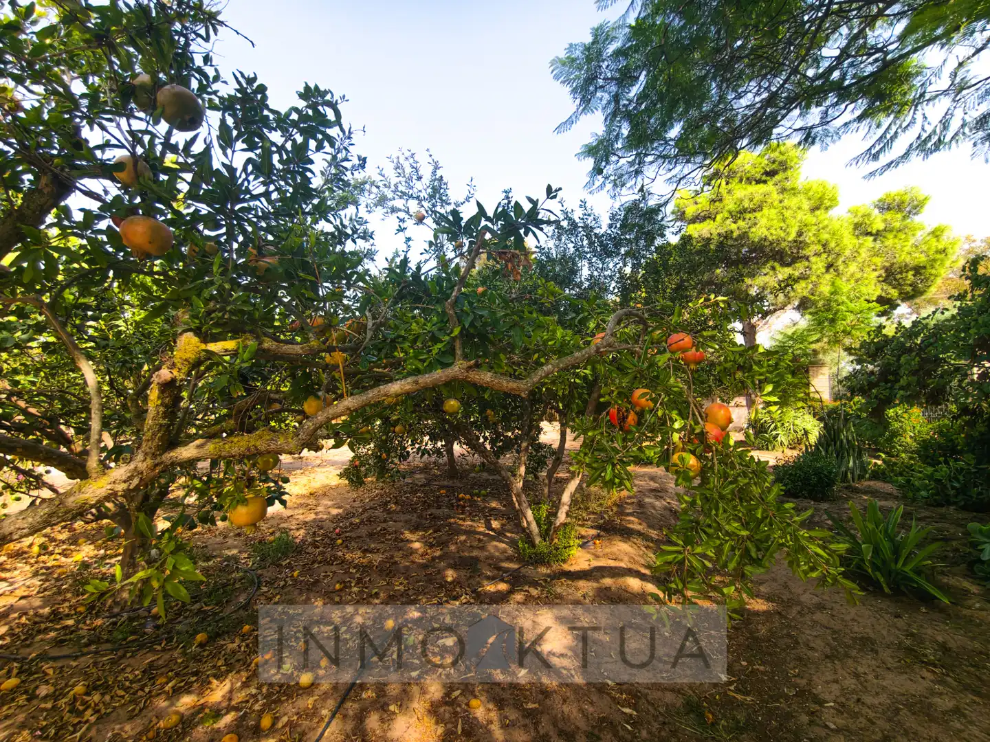 Casa rústica amb jardí en venda a Ctra Sanlúcar - Cuatro Pinos, imagen 21